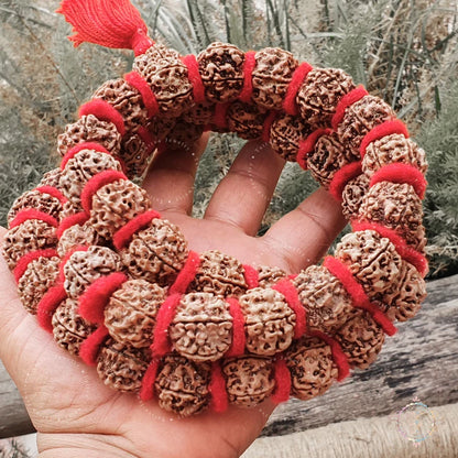 5 Mukhi Rudraksha Kantha Mala