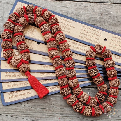 5 Mukhi Rudraksha Kantha Mala